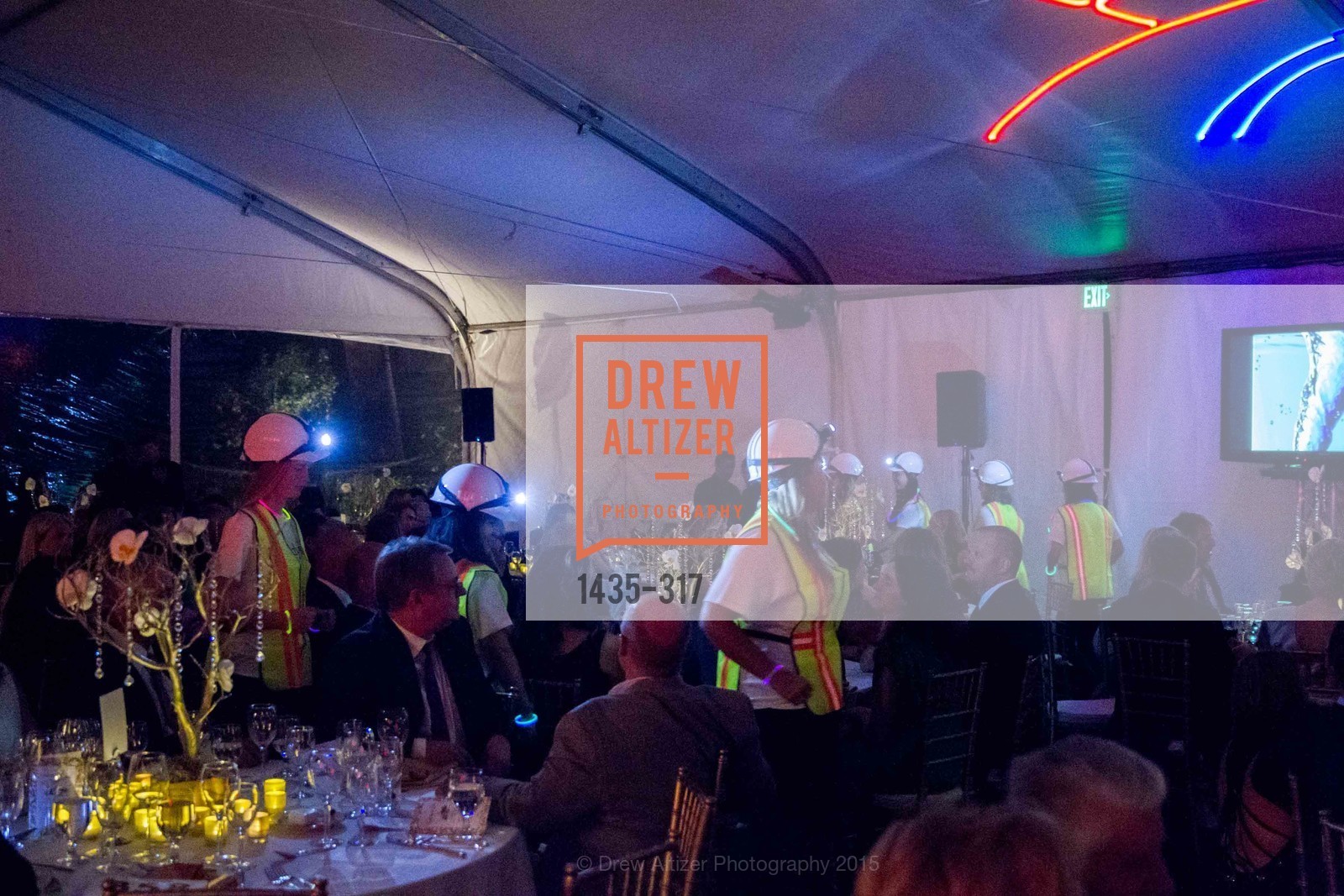 Atmosphere, CuriOdyssey At Coyote Point 2015 Gala, CuriOdyssey. 401 El Cerrito Avenue, September 26th, 2015,Drew Altizer, Drew Altizer Photography, full-service agency, private events, San Francisco photographer, photographer california