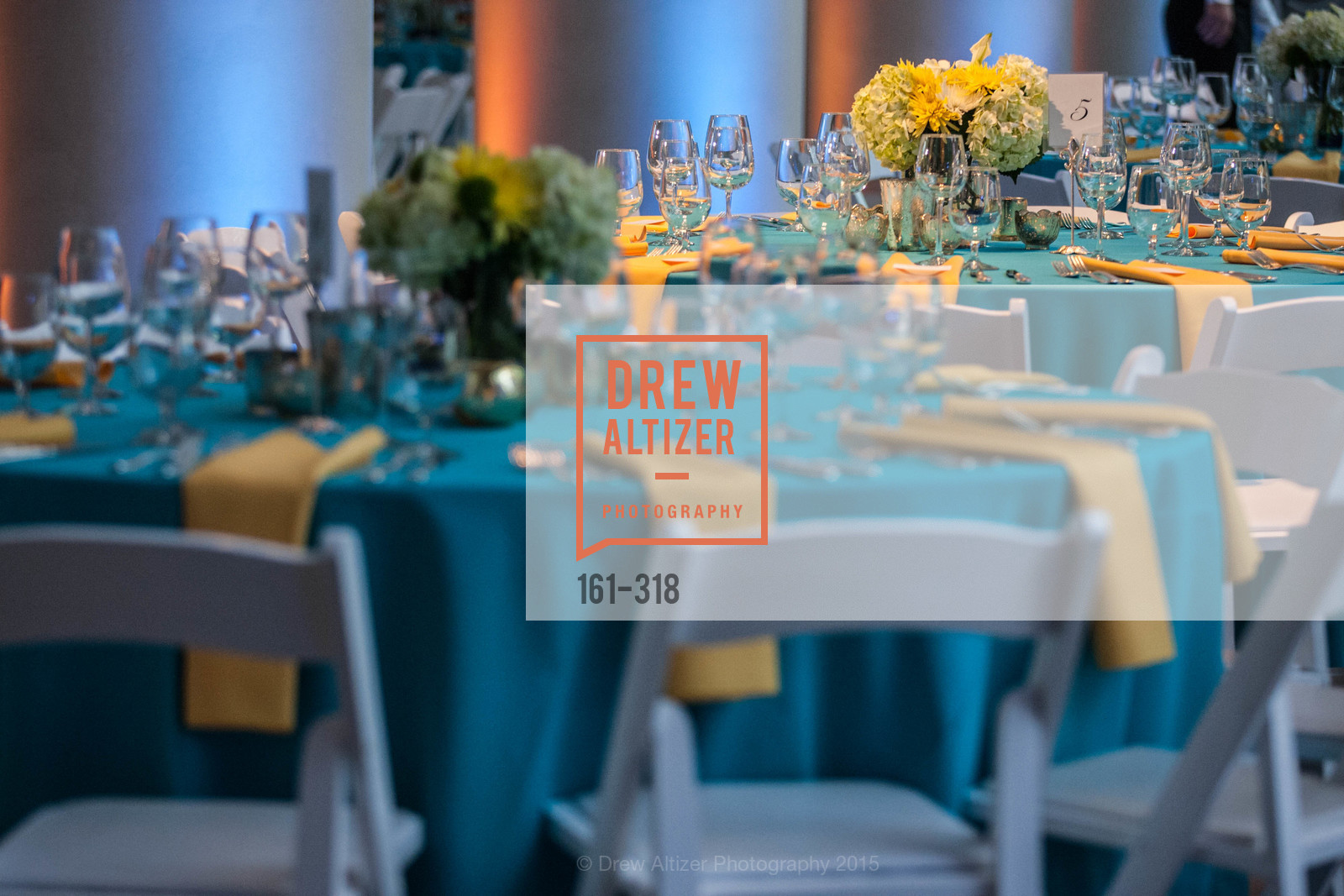 Atmosphere, Coral Reef Alliance at the California Academy of Sciences, Academy of Sciences, September 26th, 2015,Drew Altizer, Drew Altizer Photography, full-service agency, private events, San Francisco photographer, photographer california