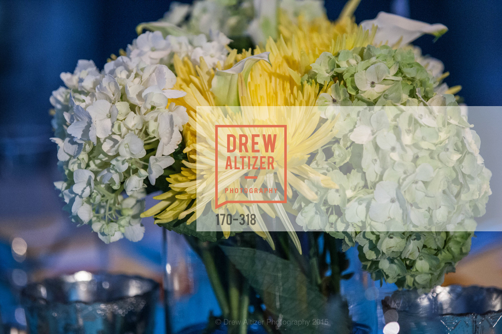 Atmosphere, Coral Reef Alliance at the California Academy of Sciences, Academy of Sciences, September 26th, 2015,Drew Altizer, Drew Altizer Photography, full-service event agency, private events, San Francisco photographer, photographer California