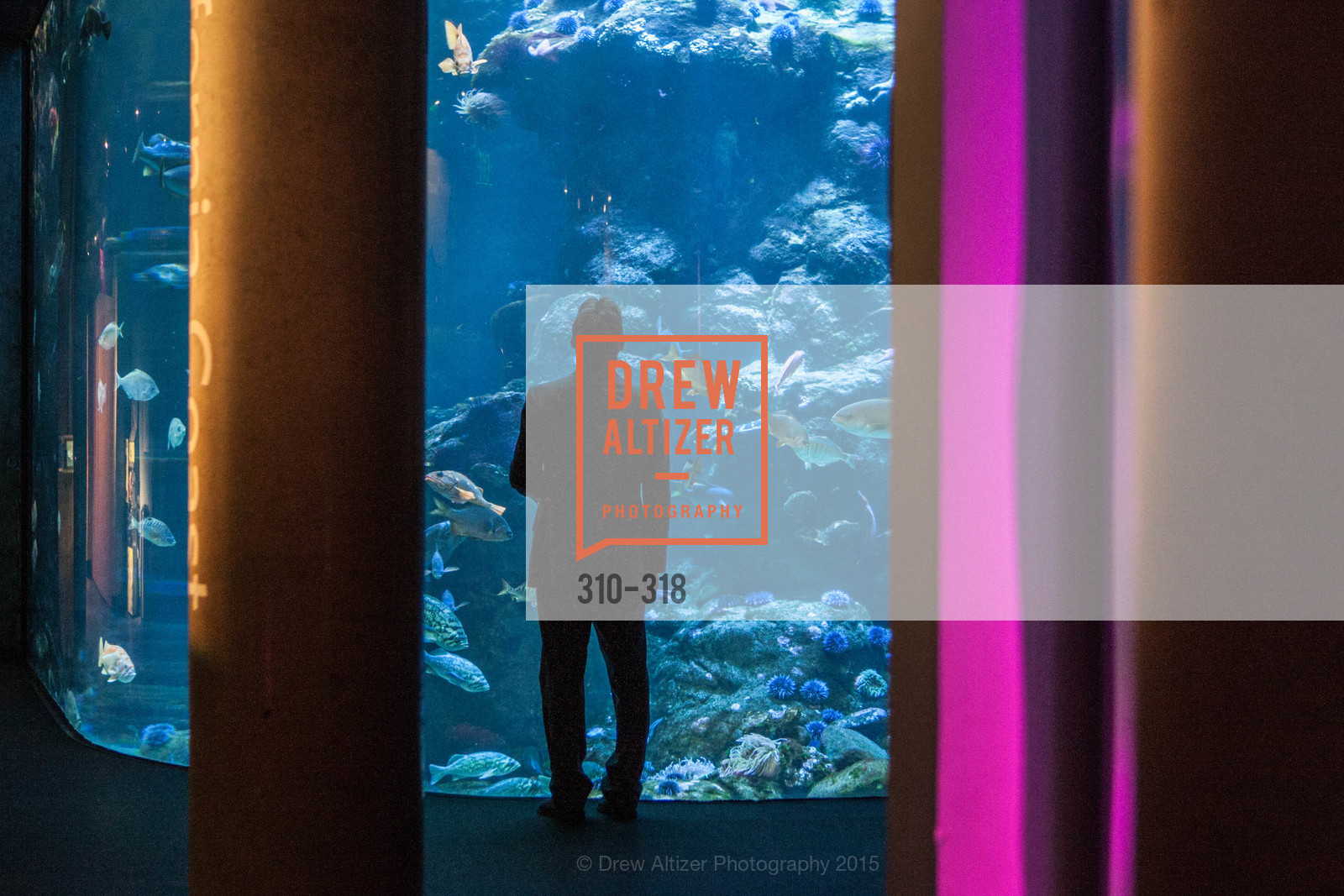 Atmosphere, Coral Reef Alliance at the California Academy of Sciences, Academy of Sciences, September 26th, 2015,Drew Altizer, Drew Altizer Photography, full-service agency, private events, San Francisco photographer, photographer california