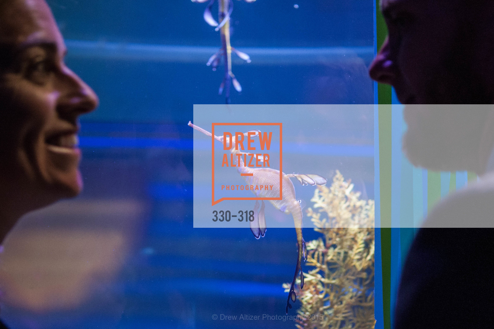 Atmosphere, Coral Reef Alliance at the California Academy of Sciences, Academy of Sciences, September 26th, 2015,Drew Altizer, Drew Altizer Photography, full-service agency, private events, San Francisco photographer, photographer california