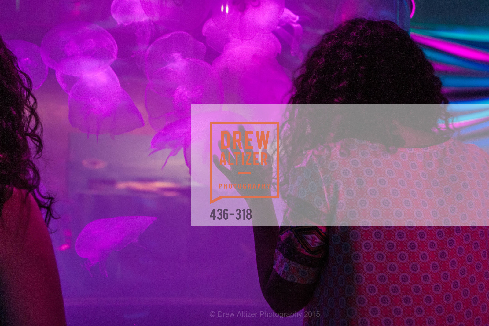 Atmosphere, Coral Reef Alliance at the California Academy of Sciences, Academy of Sciences, September 26th, 2015,Drew Altizer, Drew Altizer Photography, full-service agency, private events, San Francisco photographer, photographer california