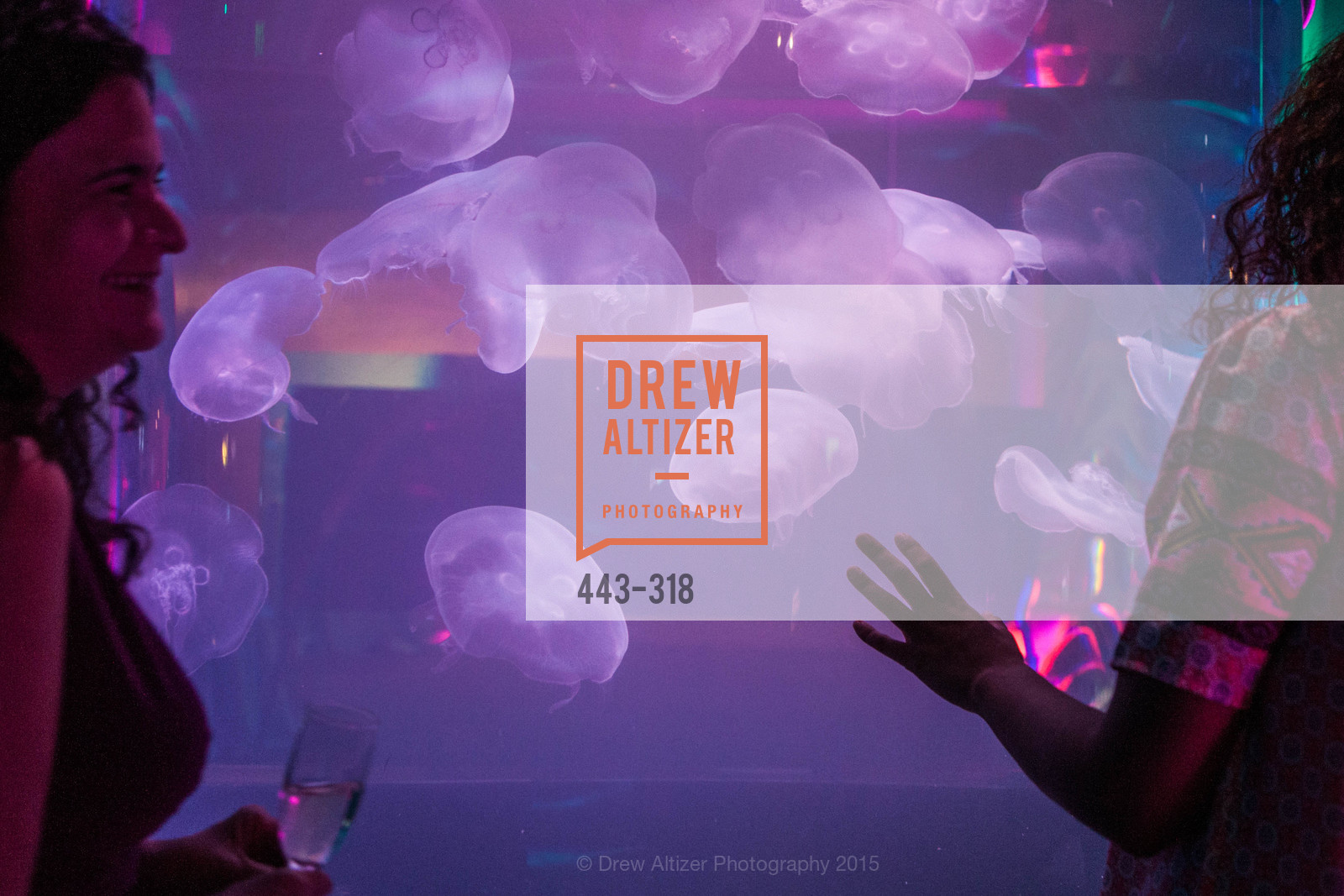 Atmosphere, Coral Reef Alliance at the California Academy of Sciences, Academy of Sciences, September 26th, 2015,Drew Altizer, Drew Altizer Photography, full-service agency, private events, San Francisco photographer, photographer california
