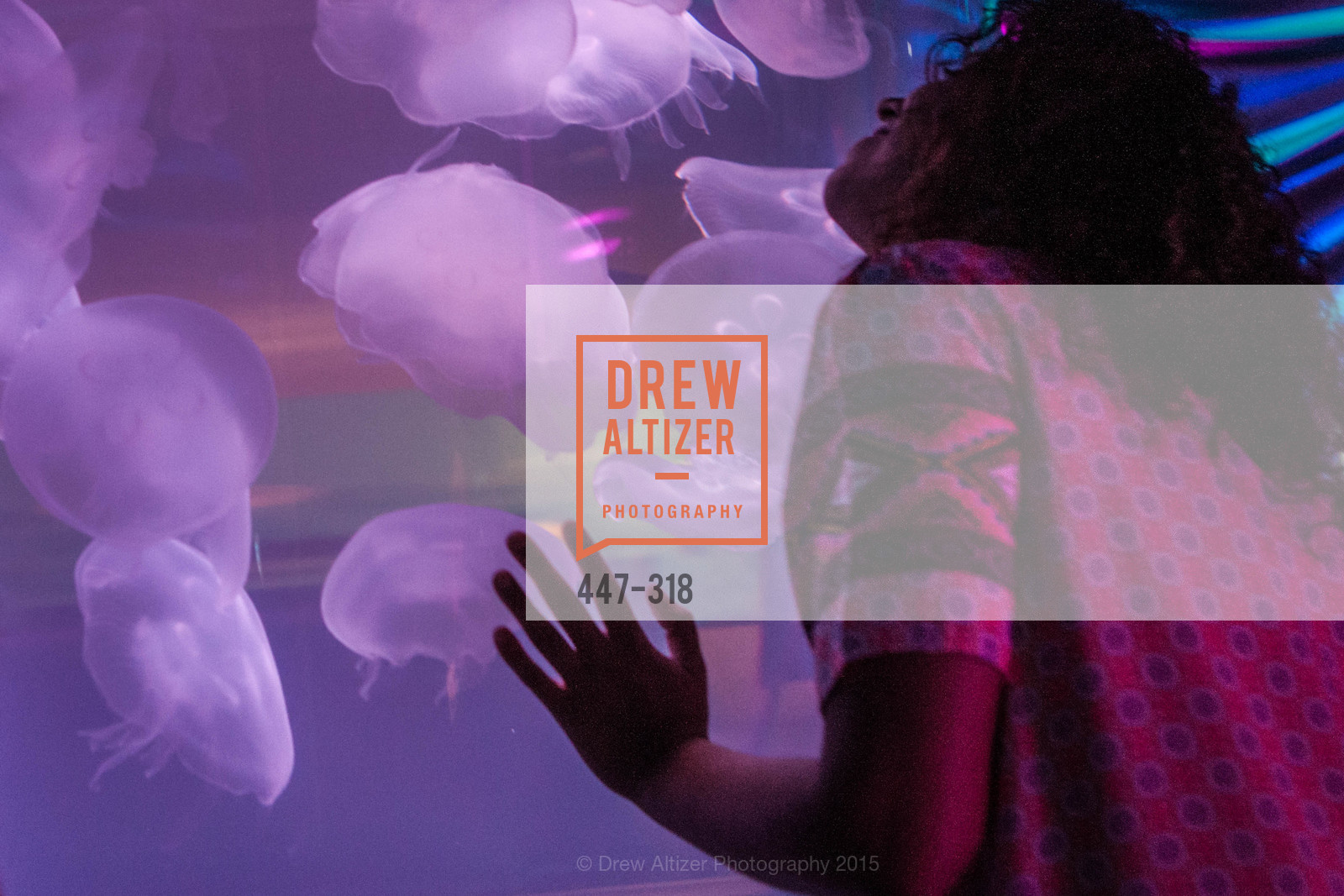 Atmosphere, Coral Reef Alliance at the California Academy of Sciences, Academy of Sciences, September 26th, 2015,Drew Altizer, Drew Altizer Photography, full-service agency, private events, San Francisco photographer, photographer california
