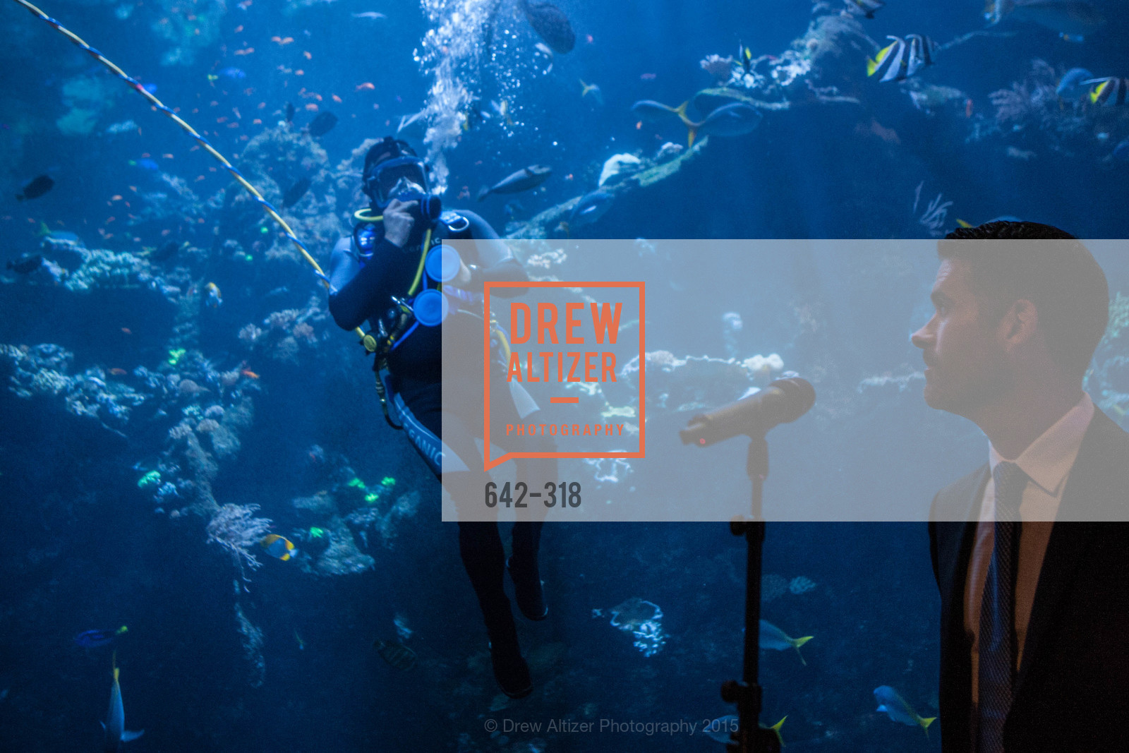 Atmosphere, Coral Reef Alliance at the California Academy of Sciences, Academy of Sciences, September 26th, 2015,Drew Altizer, Drew Altizer Photography, full-service agency, private events, San Francisco photographer, photographer california