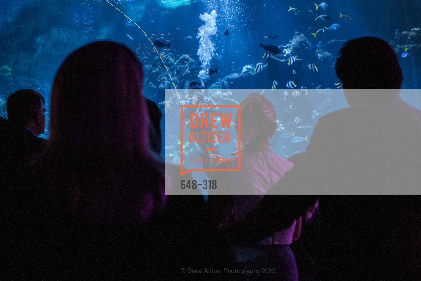 Atmosphere, Coral Reef Alliance at the California Academy of Sciences, Academy of Sciences, September 26th, 2015,Drew Altizer, Drew Altizer Photography, full-service agency, private events, San Francisco photographer, photographer california