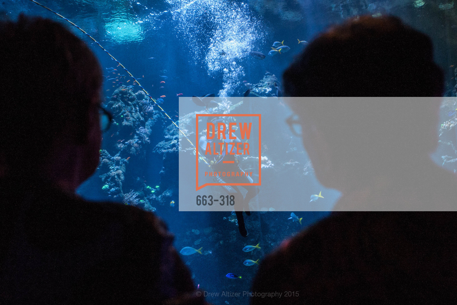 Atmosphere, Coral Reef Alliance at the California Academy of Sciences, Academy of Sciences, September 26th, 2015,Drew Altizer, Drew Altizer Photography, full-service agency, private events, San Francisco photographer, photographer california