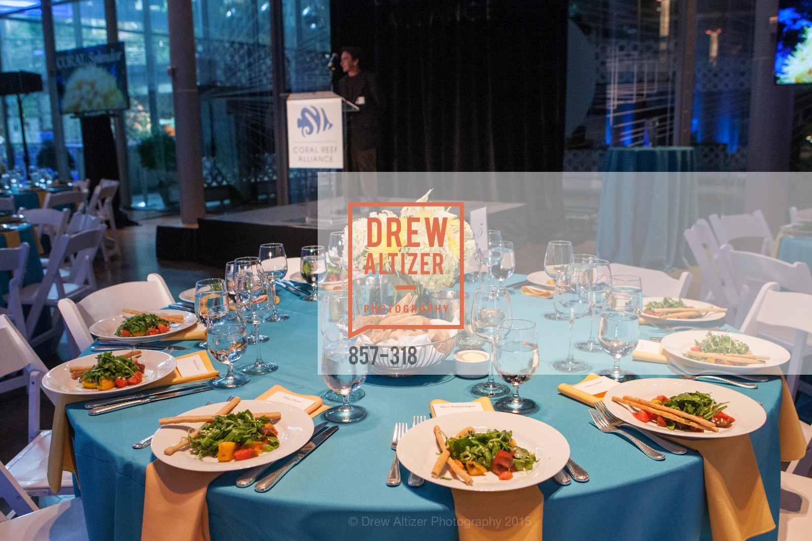 Atmosphere, Coral Reef Alliance at the California Academy of Sciences, Academy of Sciences, September 26th, 2015,Drew Altizer, Drew Altizer Photography, full-service agency, private events, San Francisco photographer, photographer california