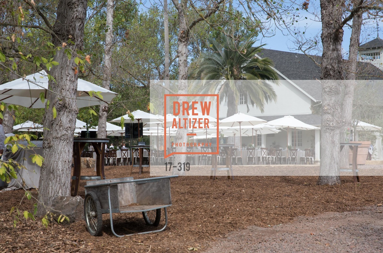 Atmosphere, Fall for Art: ODC at McEvoy Ranch, McEvoy Ranch. 5935 Red Hill Road, September 27th, 2015,Drew Altizer, Drew Altizer Photography, full-service agency, private events, San Francisco photographer, photographer california
