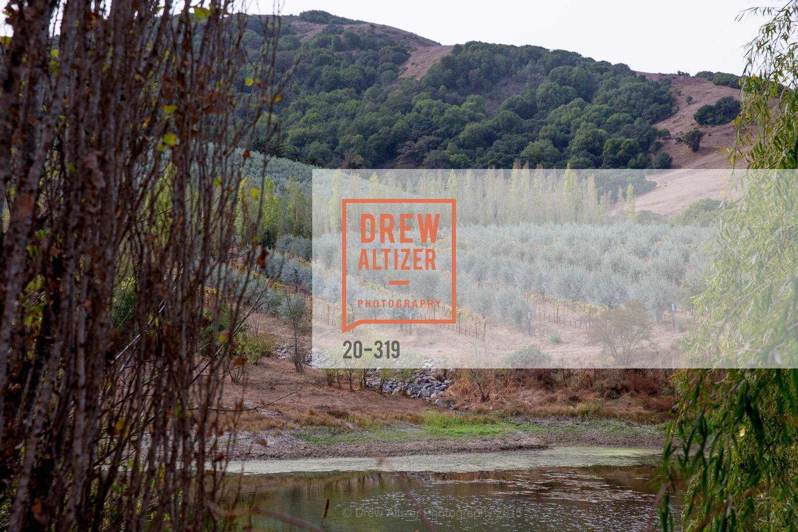 Atmosphere, Fall for Art: ODC at McEvoy Ranch, McEvoy Ranch. 5935 Red Hill Road, September 27th, 2015,Drew Altizer, Drew Altizer Photography, full-service agency, private events, San Francisco photographer, photographer california