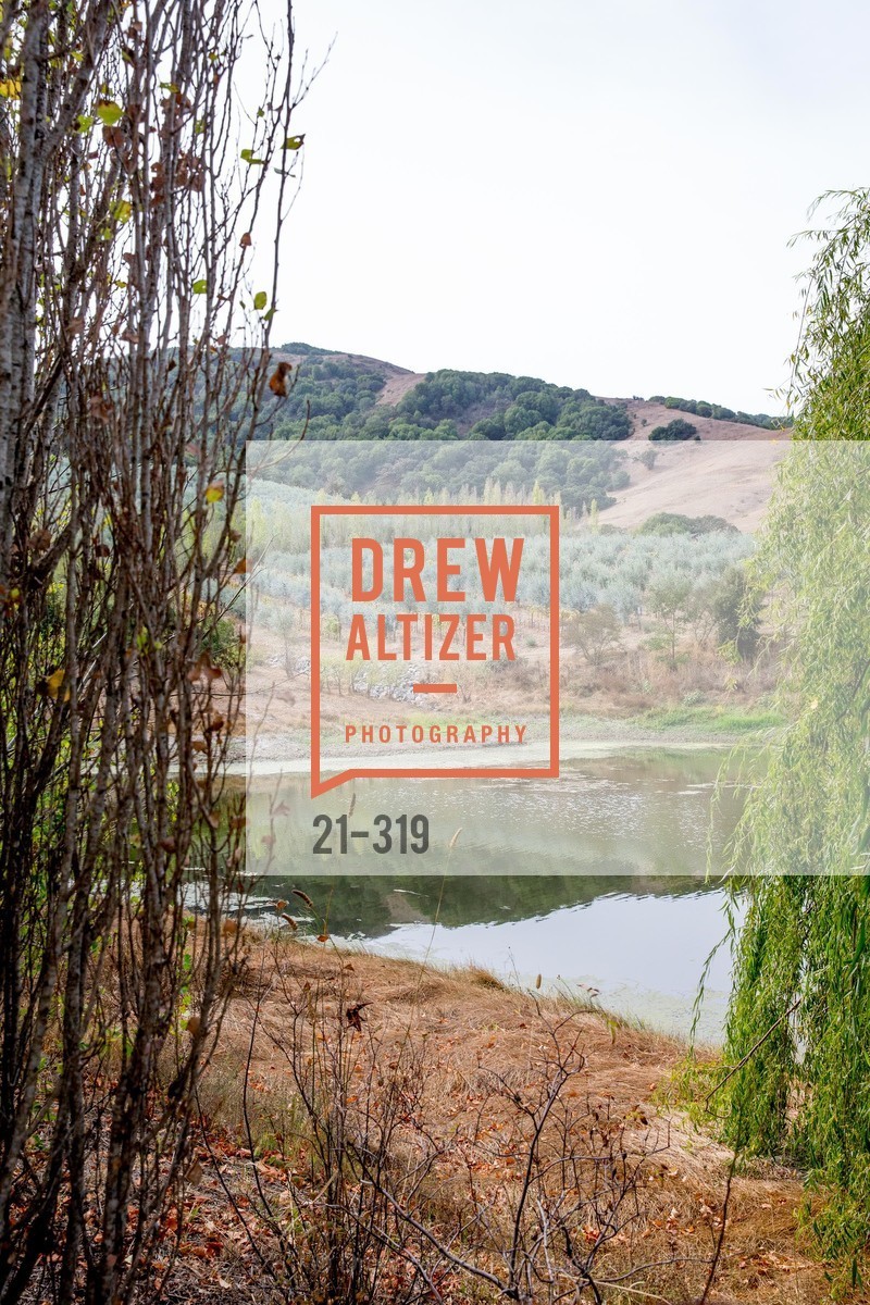 Atmosphere, Fall for Art: ODC at McEvoy Ranch, McEvoy Ranch. 5935 Red Hill Road, September 27th, 2015,Drew Altizer, Drew Altizer Photography, full-service agency, private events, San Francisco photographer, photographer california