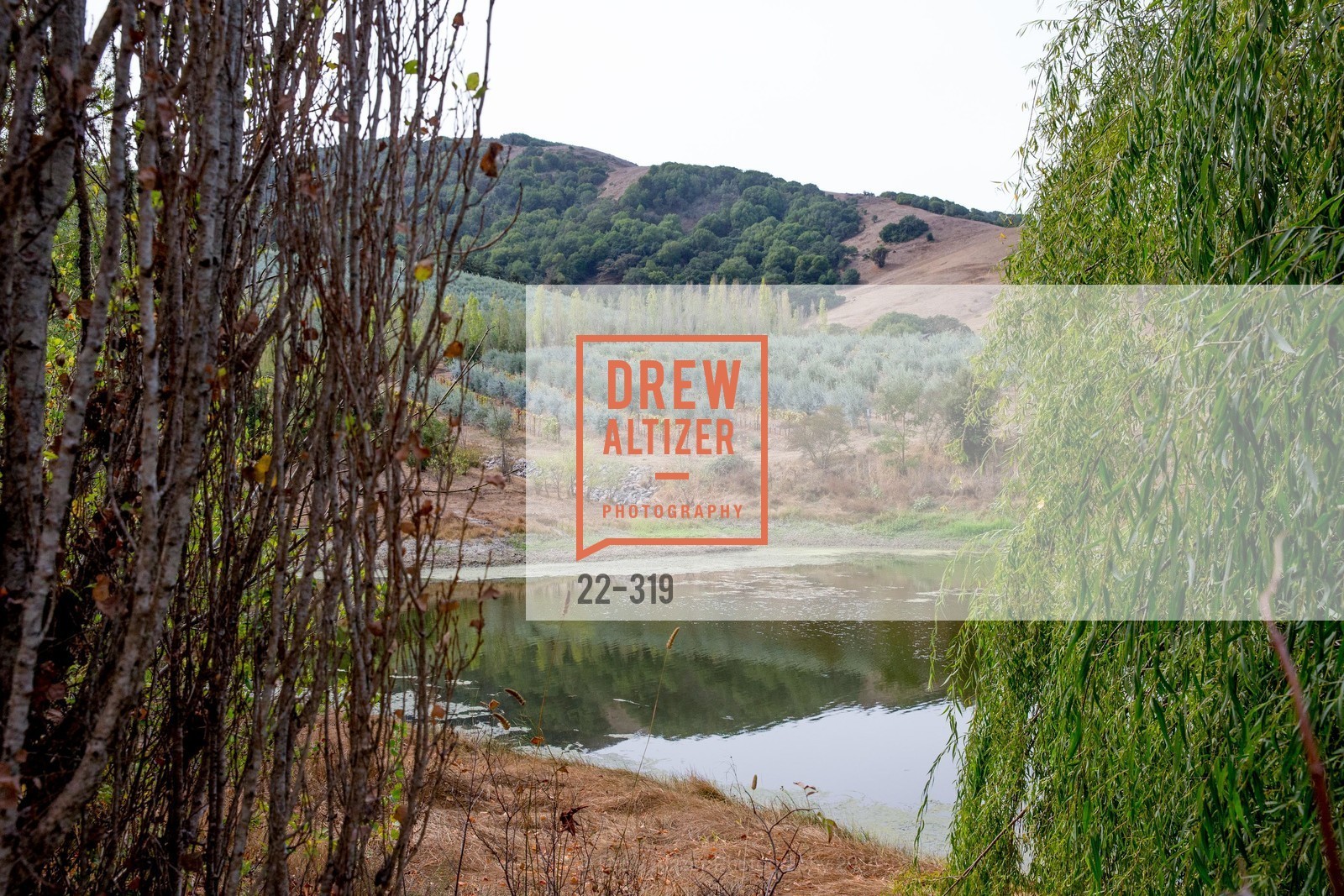 Atmosphere, Fall for Art: ODC at McEvoy Ranch, McEvoy Ranch. 5935 Red Hill Road, September 27th, 2015,Drew Altizer, Drew Altizer Photography, full-service agency, private events, San Francisco photographer, photographer california