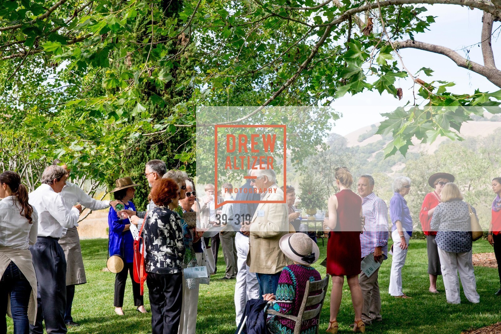 Atmosphere, Fall for Art: ODC at McEvoy Ranch, McEvoy Ranch. 5935 Red Hill Road, September 27th, 2015,Drew Altizer, Drew Altizer Photography, full-service agency, private events, San Francisco photographer, photographer california
