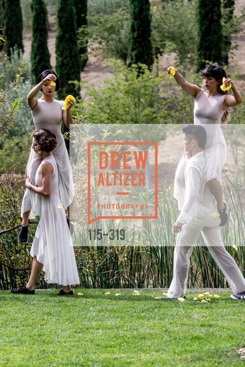 Performance, Fall for Art: ODC at McEvoy Ranch, McEvoy Ranch. 5935 Red Hill Road, September 27th, 2015,Drew Altizer, Drew Altizer Photography, full-service agency, private events, San Francisco photographer, photographer california