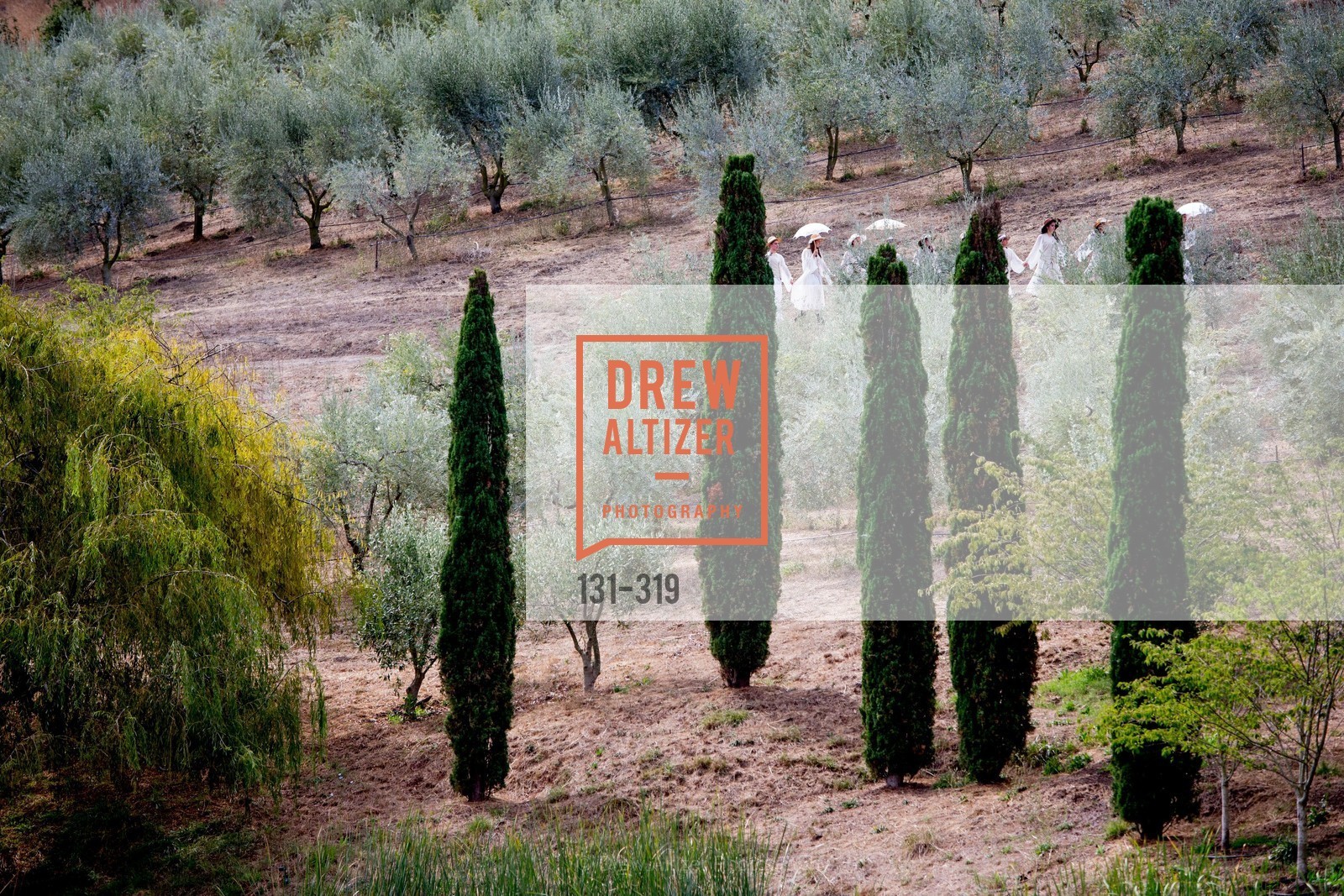 Atmosphere, Fall for Art: ODC at McEvoy Ranch, McEvoy Ranch. 5935 Red Hill Road, September 27th, 2015,Drew Altizer, Drew Altizer Photography, full-service agency, private events, San Francisco photographer, photographer california