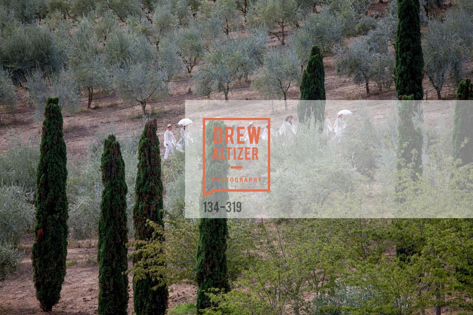 Atmosphere, Fall for Art: ODC at McEvoy Ranch, McEvoy Ranch. 5935 Red Hill Road, September 27th, 2015,Drew Altizer, Drew Altizer Photography, full-service agency, private events, San Francisco photographer, photographer california