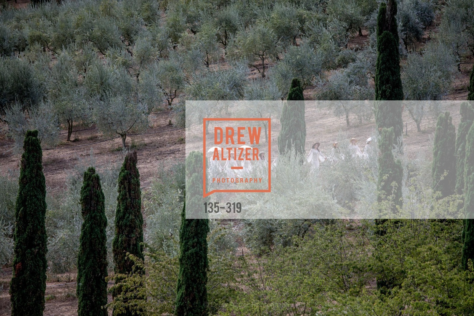 Atmosphere, Fall for Art: ODC at McEvoy Ranch, McEvoy Ranch. 5935 Red Hill Road, September 27th, 2015,Drew Altizer, Drew Altizer Photography, full-service agency, private events, San Francisco photographer, photographer california