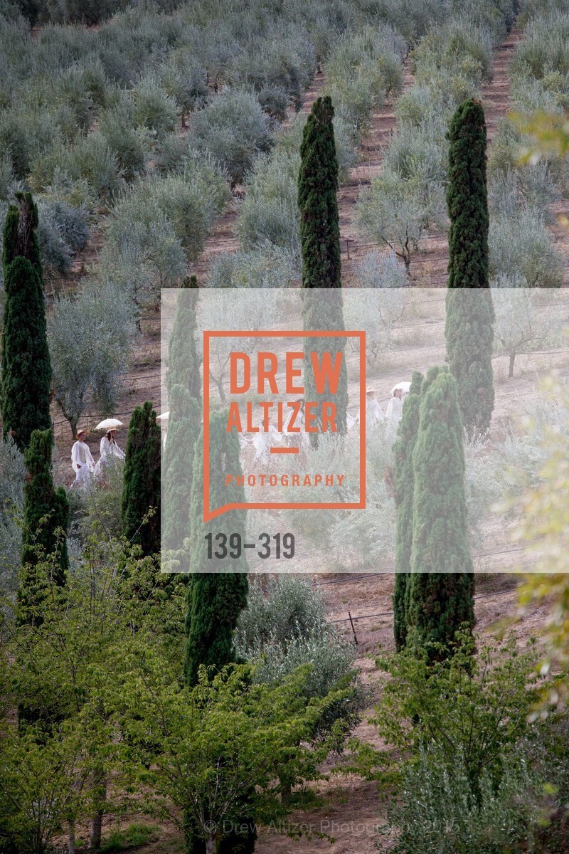 Atmosphere, Fall for Art: ODC at McEvoy Ranch, McEvoy Ranch. 5935 Red Hill Road, September 27th, 2015,Drew Altizer, Drew Altizer Photography, full-service agency, private events, San Francisco photographer, photographer california