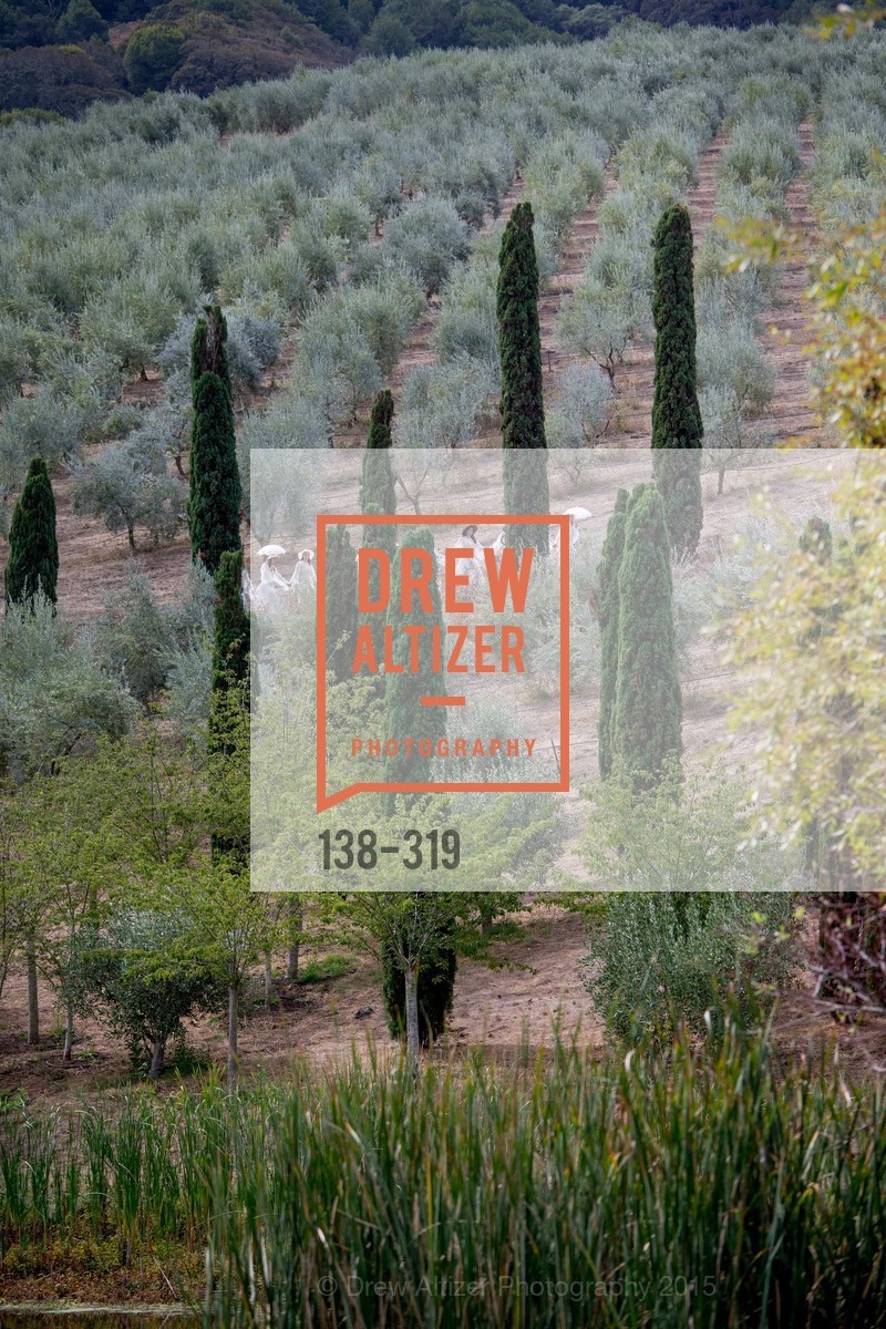 Atmosphere, Fall for Art: ODC at McEvoy Ranch, McEvoy Ranch. 5935 Red Hill Road, September 27th, 2015,Drew Altizer, Drew Altizer Photography, full-service agency, private events, San Francisco photographer, photographer california