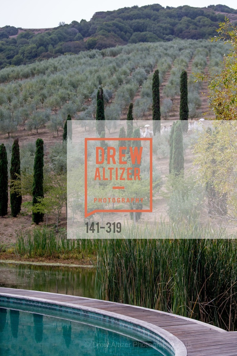 Atmosphere, Fall for Art: ODC at McEvoy Ranch, McEvoy Ranch. 5935 Red Hill Road, September 27th, 2015,Drew Altizer, Drew Altizer Photography, full-service agency, private events, San Francisco photographer, photographer california