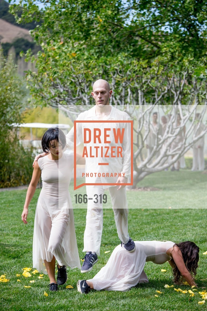 Performance, Fall for Art: ODC at McEvoy Ranch, McEvoy Ranch. 5935 Red Hill Road, September 27th, 2015,Drew Altizer, Drew Altizer Photography, full-service event agency, private events, San Francisco photographer, photographer California