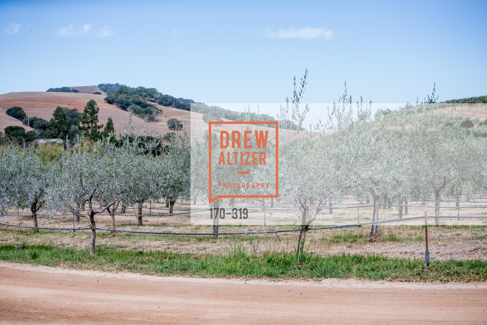 Atmosphere, Fall for Art: ODC at McEvoy Ranch, McEvoy Ranch. 5935 Red Hill Road, September 27th, 2015,Drew Altizer, Drew Altizer Photography, full-service agency, private events, San Francisco photographer, photographer california