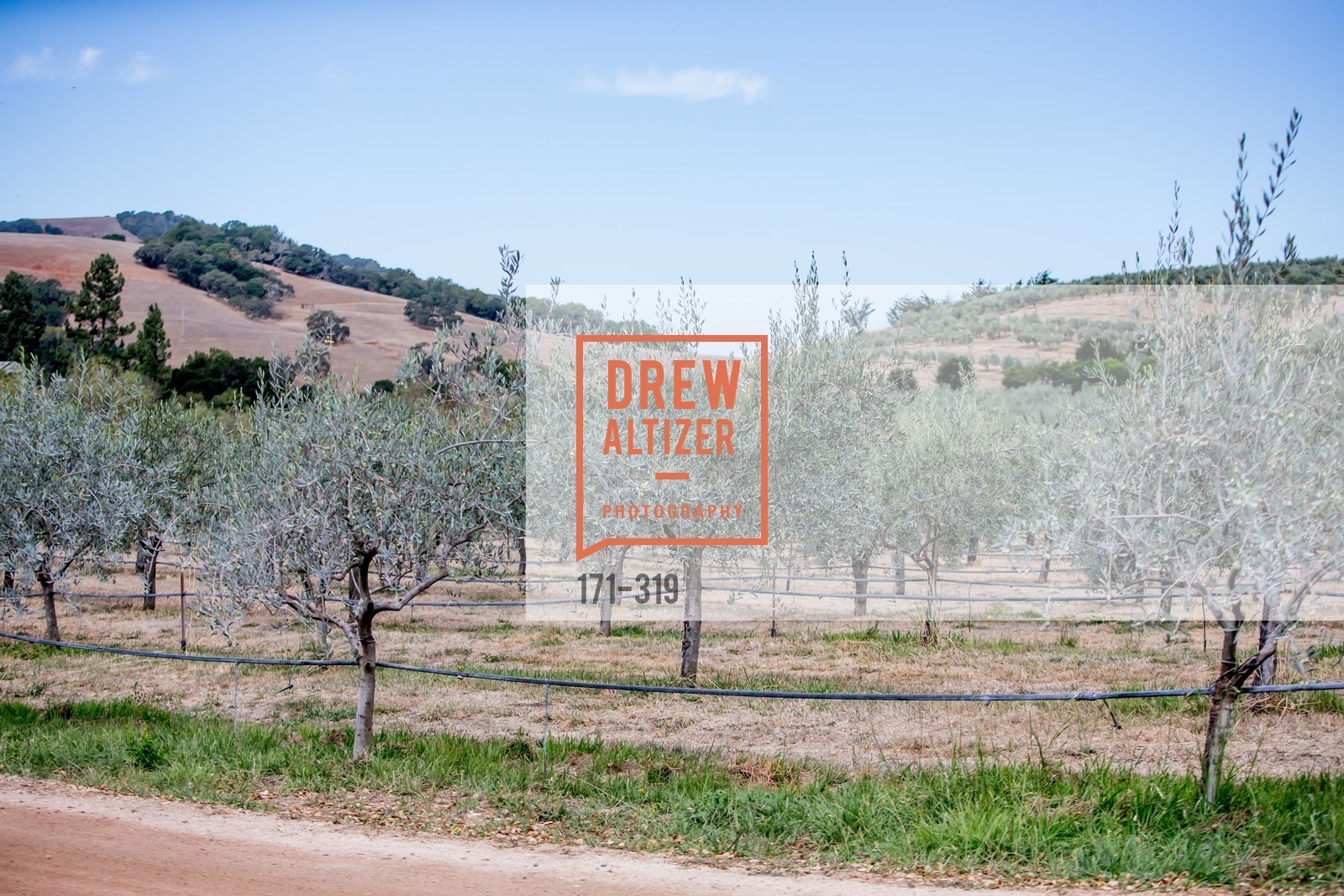 Atmosphere, Fall for Art: ODC at McEvoy Ranch, McEvoy Ranch. 5935 Red Hill Road, September 27th, 2015,Drew Altizer, Drew Altizer Photography, full-service agency, private events, San Francisco photographer, photographer california