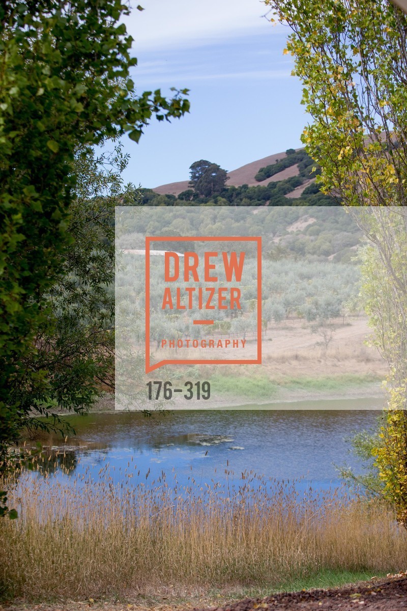 Atmosphere, Fall for Art: ODC at McEvoy Ranch, McEvoy Ranch. 5935 Red Hill Road, September 27th, 2015,Drew Altizer, Drew Altizer Photography, full-service agency, private events, San Francisco photographer, photographer california
