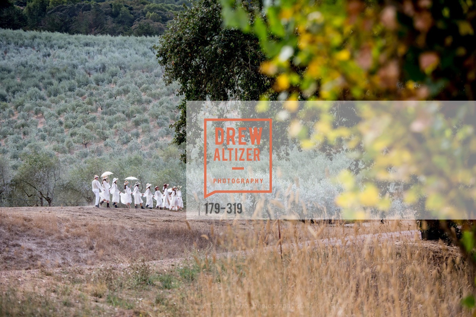 Performance, Fall for Art: ODC at McEvoy Ranch, McEvoy Ranch. 5935 Red Hill Road, September 27th, 2015,Drew Altizer, Drew Altizer Photography, full-service agency, private events, San Francisco photographer, photographer california