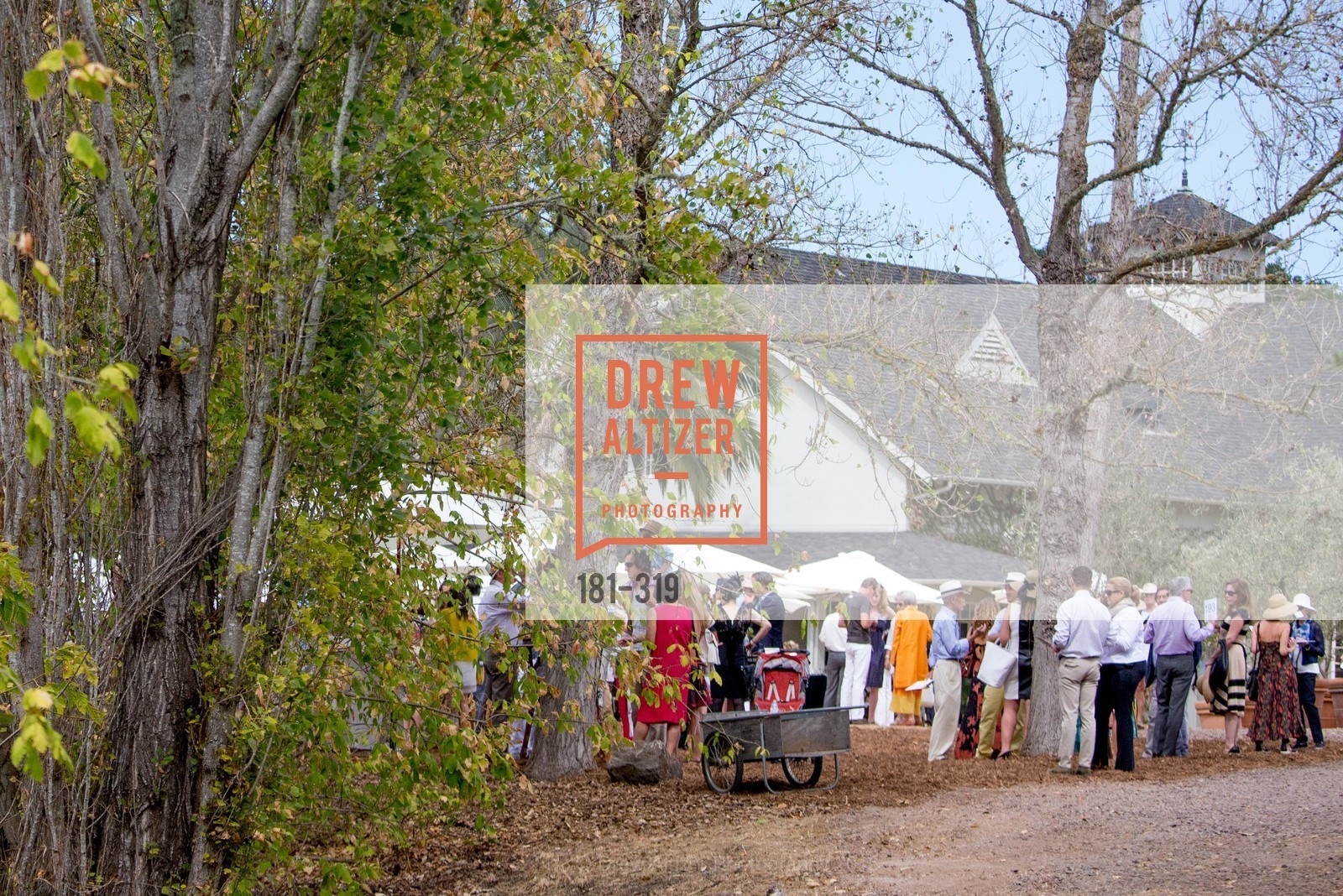 Atmosphere, Fall for Art: ODC at McEvoy Ranch, McEvoy Ranch. 5935 Red Hill Road, September 27th, 2015,Drew Altizer, Drew Altizer Photography, full-service agency, private events, San Francisco photographer, photographer california