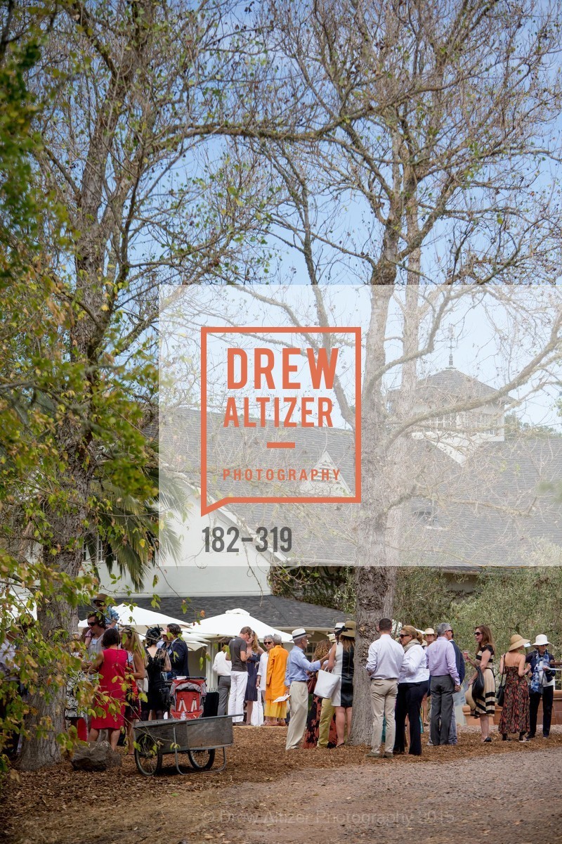 Atmosphere, Fall for Art: ODC at McEvoy Ranch, McEvoy Ranch. 5935 Red Hill Road, September 27th, 2015,Drew Altizer, Drew Altizer Photography, full-service agency, private events, San Francisco photographer, photographer california