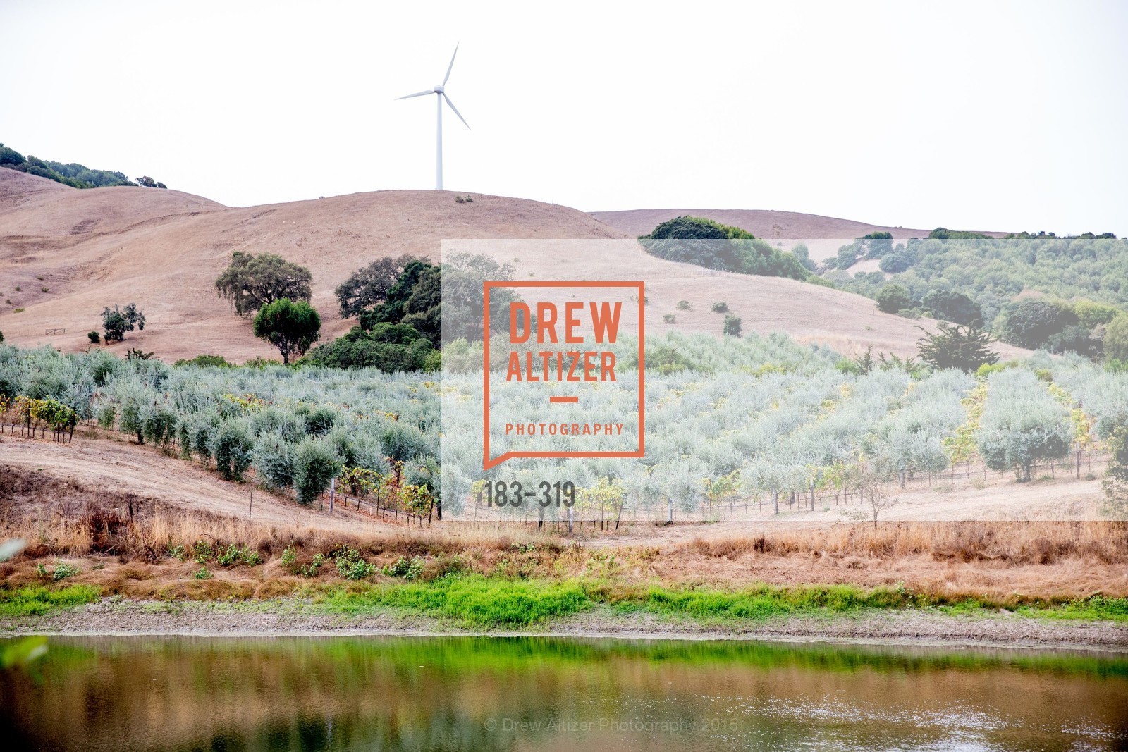 Atmosphere, Fall for Art: ODC at McEvoy Ranch, McEvoy Ranch. 5935 Red Hill Road, September 27th, 2015,Drew Altizer, Drew Altizer Photography, full-service agency, private events, San Francisco photographer, photographer california