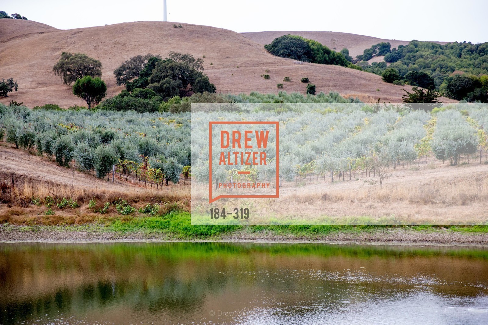 Atmosphere, Fall for Art: ODC at McEvoy Ranch, McEvoy Ranch. 5935 Red Hill Road, September 27th, 2015,Drew Altizer, Drew Altizer Photography, full-service agency, private events, San Francisco photographer, photographer california