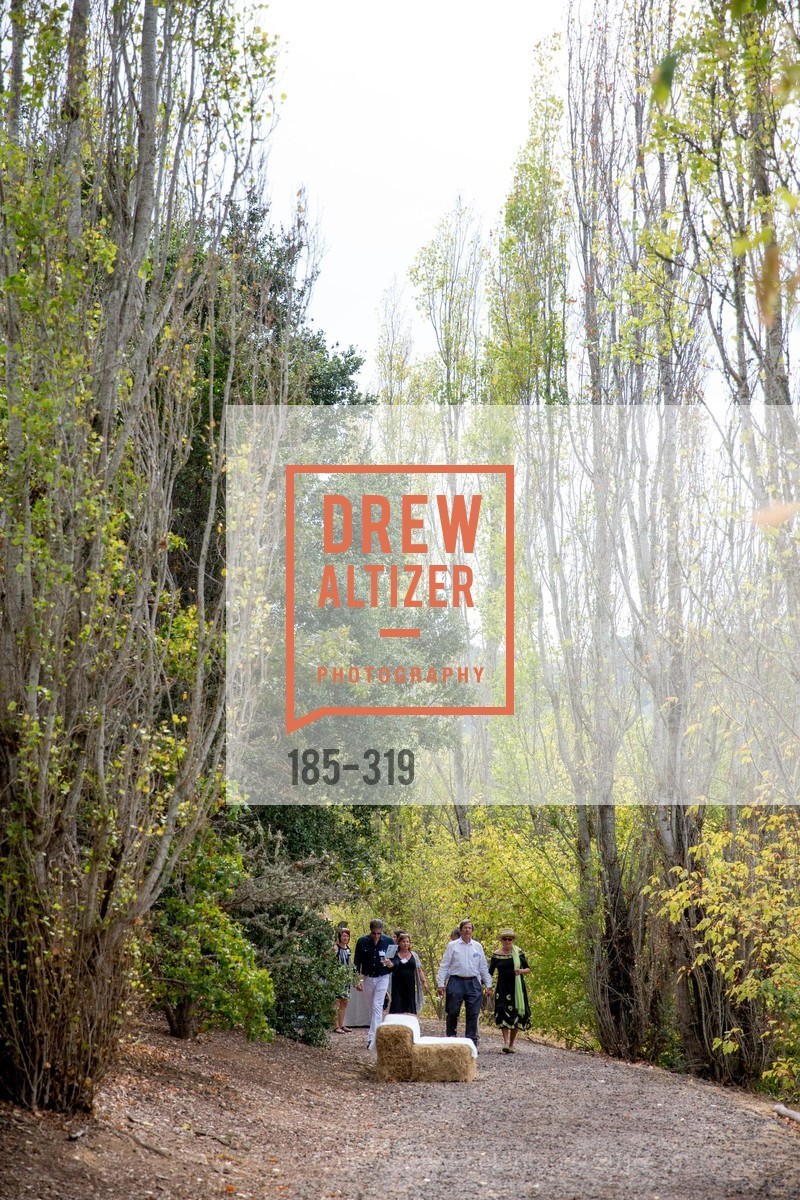 Atmosphere, Fall for Art: ODC at McEvoy Ranch, McEvoy Ranch. 5935 Red Hill Road, September 27th, 2015,Drew Altizer, Drew Altizer Photography, full-service agency, private events, San Francisco photographer, photographer california