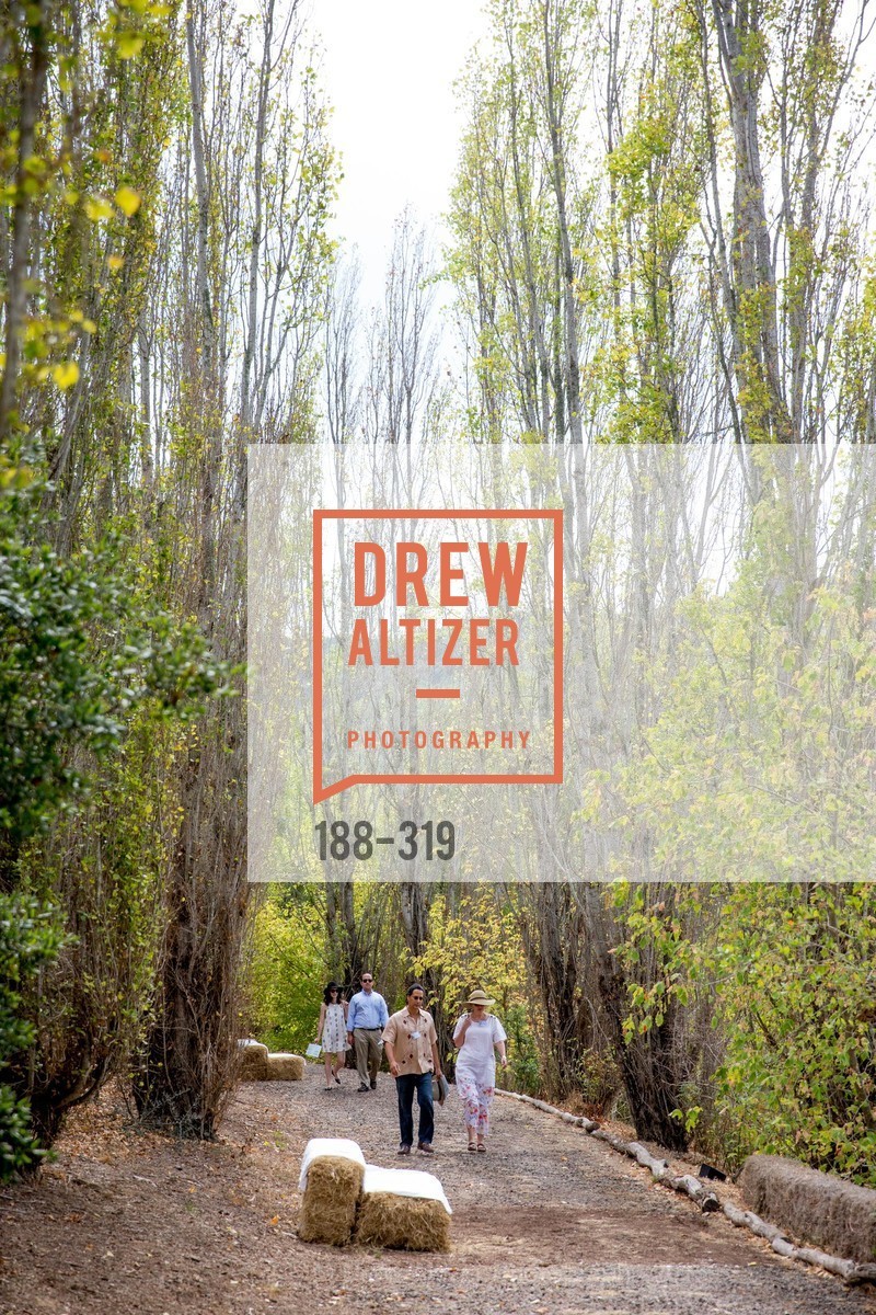Atmosphere, Fall for Art: ODC at McEvoy Ranch, McEvoy Ranch. 5935 Red Hill Road, September 27th, 2015,Drew Altizer, Drew Altizer Photography, full-service agency, private events, San Francisco photographer, photographer california