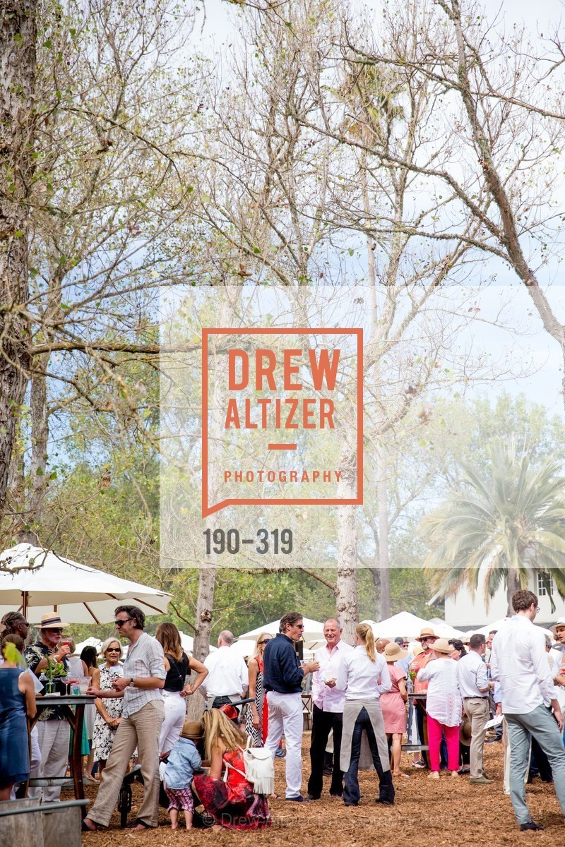 Atmosphere, Fall for Art: ODC at McEvoy Ranch, McEvoy Ranch. 5935 Red Hill Road, September 27th, 2015,Drew Altizer, Drew Altizer Photography, full-service agency, private events, San Francisco photographer, photographer california