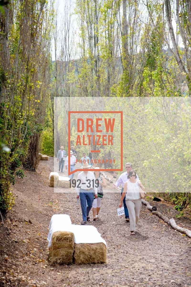 Atmosphere, Fall for Art: ODC at McEvoy Ranch, McEvoy Ranch. 5935 Red Hill Road, September 27th, 2015,Drew Altizer, Drew Altizer Photography, full-service agency, private events, San Francisco photographer, photographer california