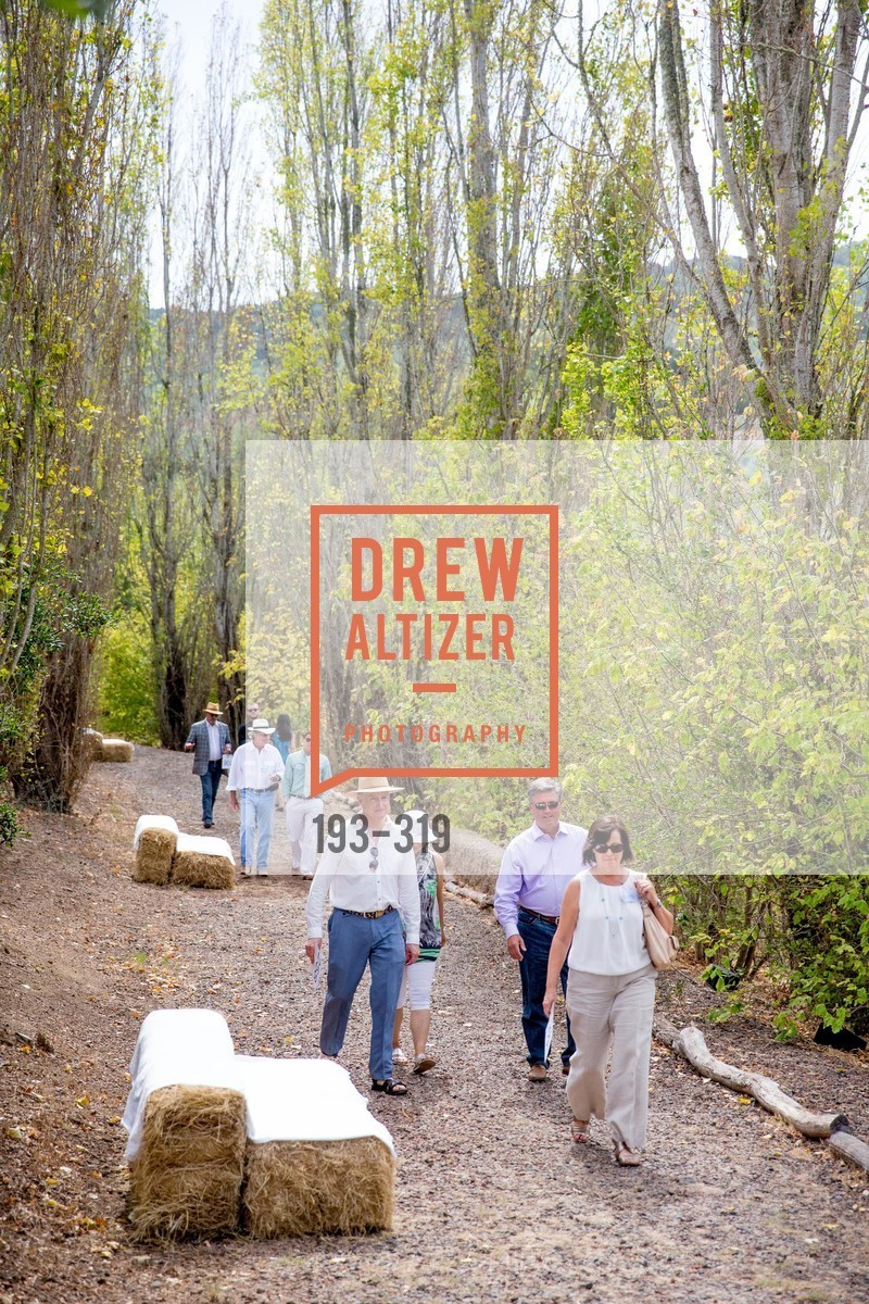 Atmosphere, Fall for Art: ODC at McEvoy Ranch, McEvoy Ranch. 5935 Red Hill Road, September 27th, 2015