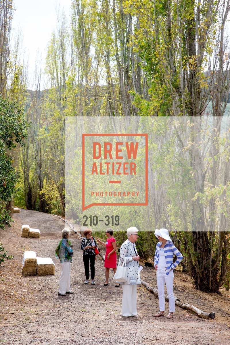 Atmosphere, Fall for Art: ODC at McEvoy Ranch, McEvoy Ranch. 5935 Red Hill Road, September 27th, 2015,Drew Altizer, Drew Altizer Photography, full-service agency, private events, San Francisco photographer, photographer california