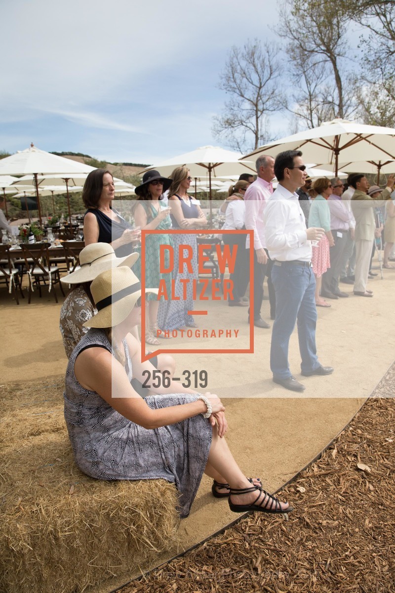 Atmosphere, Fall for Art: ODC at McEvoy Ranch, McEvoy Ranch. 5935 Red Hill Road, September 27th, 2015,Drew Altizer, Drew Altizer Photography, full-service agency, private events, San Francisco photographer, photographer california