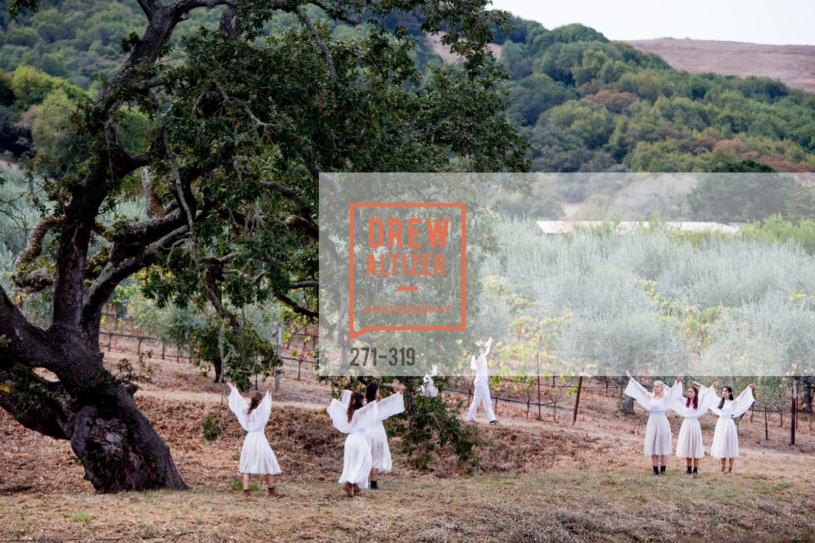 Performance, Fall for Art: ODC at McEvoy Ranch, McEvoy Ranch. 5935 Red Hill Road, September 27th, 2015,Drew Altizer, Drew Altizer Photography, full-service event agency, private events, San Francisco photographer, photographer California