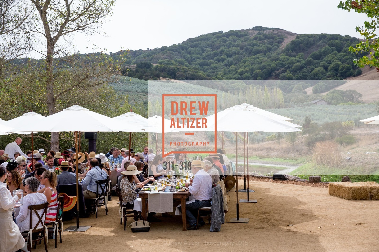 Atmosphere, Fall for Art: ODC at McEvoy Ranch, McEvoy Ranch. 5935 Red Hill Road, September 27th, 2015,Drew Altizer, Drew Altizer Photography, full-service agency, private events, San Francisco photographer, photographer california