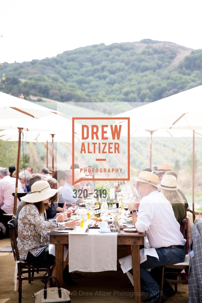 Atmosphere, Fall for Art: ODC at McEvoy Ranch, McEvoy Ranch. 5935 Red Hill Road, September 27th, 2015,Drew Altizer, Drew Altizer Photography, full-service agency, private events, San Francisco photographer, photographer california
