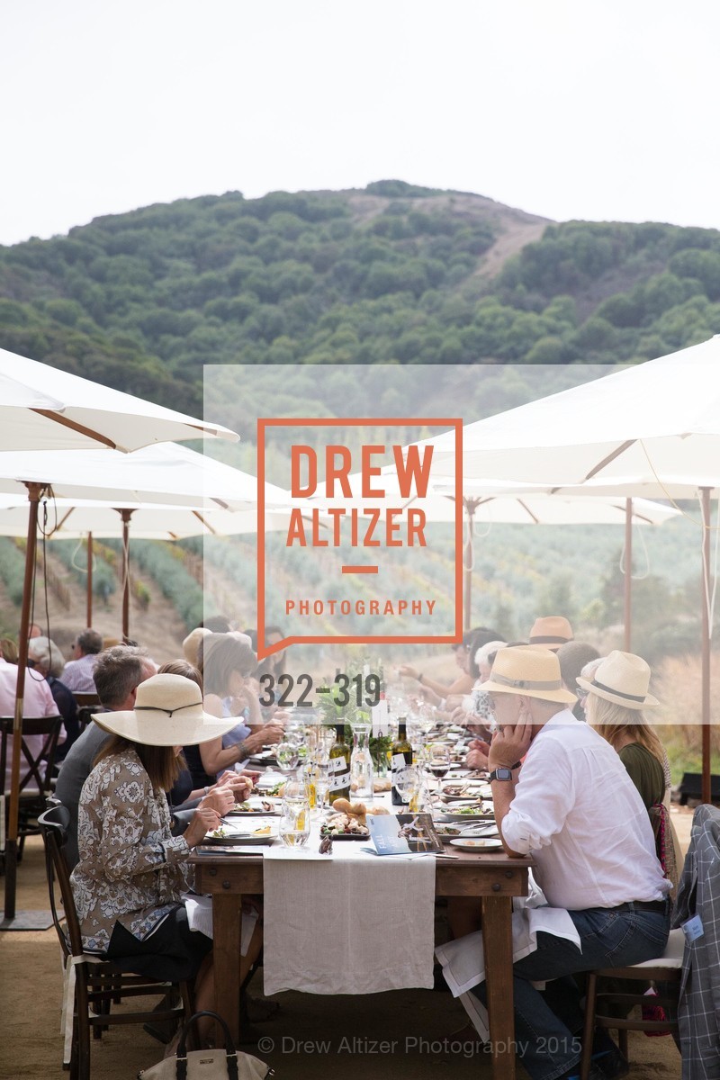 Atmosphere, Fall for Art: ODC at McEvoy Ranch, McEvoy Ranch. 5935 Red Hill Road, September 27th, 2015,Drew Altizer, Drew Altizer Photography, full-service event agency, private events, San Francisco photographer, photographer California
