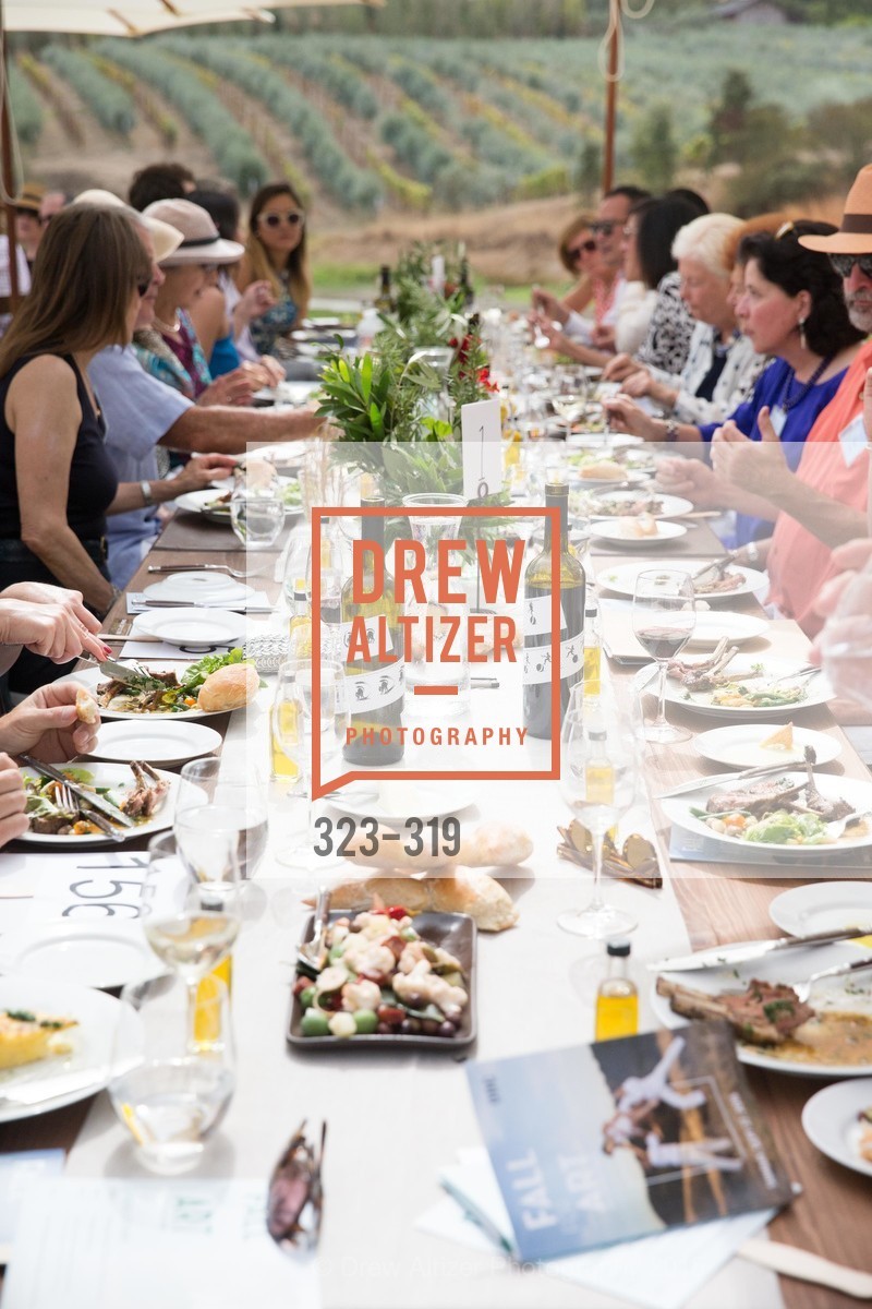 Atmosphere, Fall for Art: ODC at McEvoy Ranch, McEvoy Ranch. 5935 Red Hill Road, September 27th, 2015,Drew Altizer, Drew Altizer Photography, full-service agency, private events, San Francisco photographer, photographer california