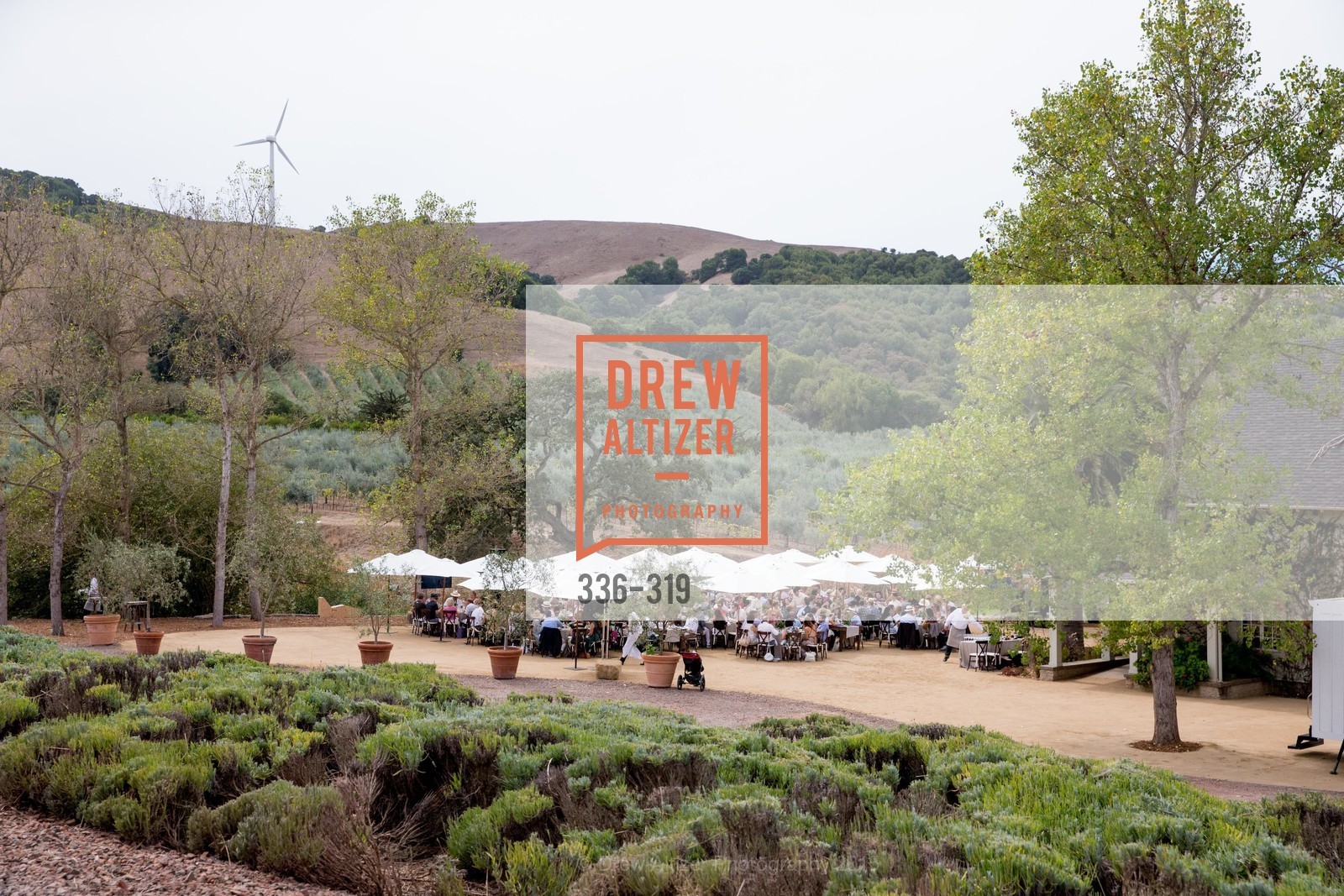 Atmosphere, Fall for Art: ODC at McEvoy Ranch, McEvoy Ranch. 5935 Red Hill Road, September 27th, 2015,Drew Altizer, Drew Altizer Photography, full-service event agency, private events, San Francisco photographer, photographer California