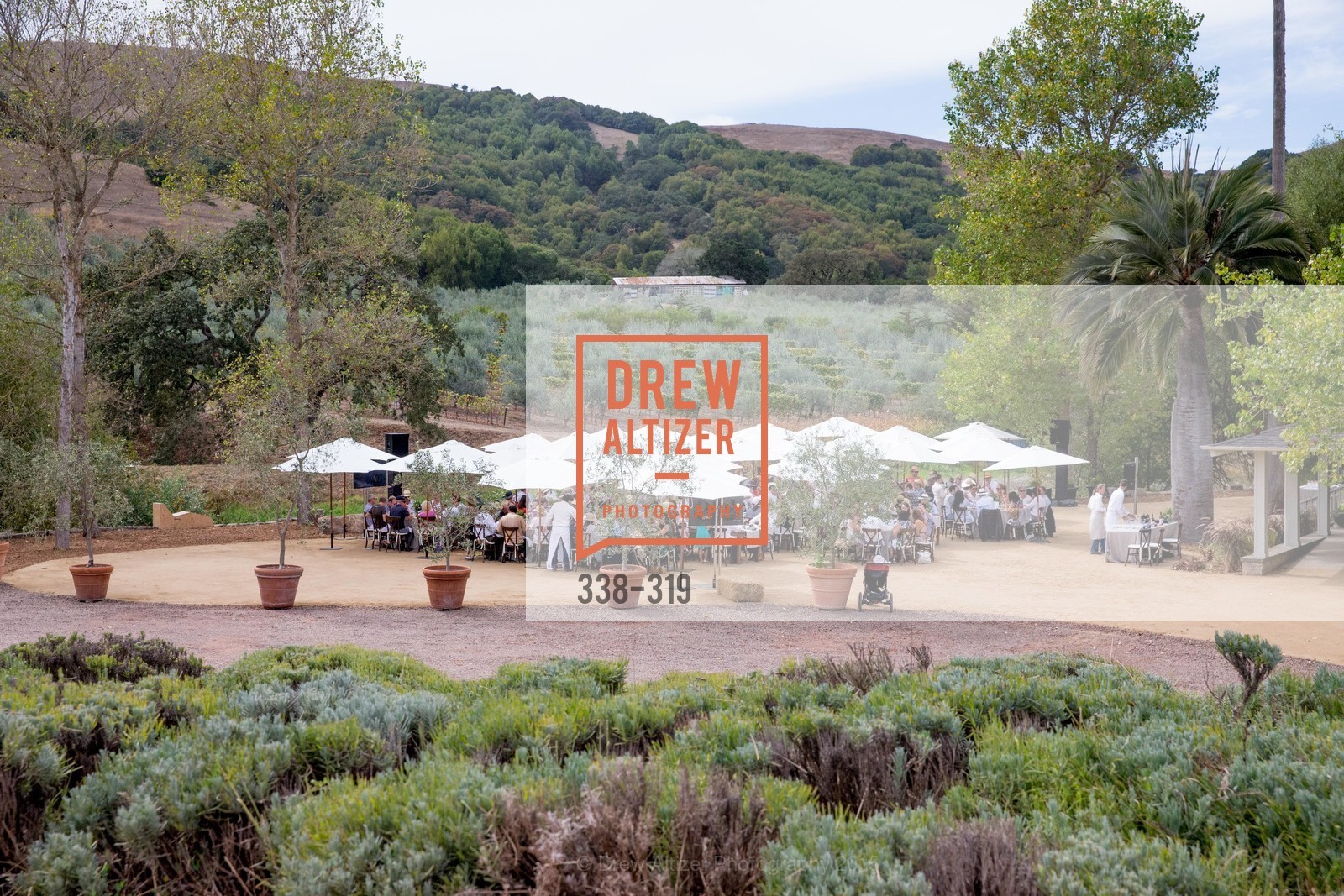 Atmosphere, Fall for Art: ODC at McEvoy Ranch, McEvoy Ranch. 5935 Red Hill Road, September 27th, 2015,Drew Altizer, Drew Altizer Photography, full-service agency, private events, San Francisco photographer, photographer california