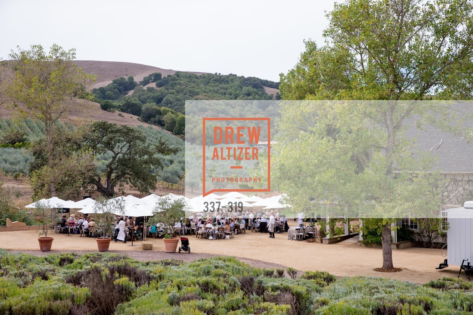 Atmosphere, Fall for Art: ODC at McEvoy Ranch, McEvoy Ranch. 5935 Red Hill Road, September 27th, 2015,Drew Altizer, Drew Altizer Photography, full-service agency, private events, San Francisco photographer, photographer california