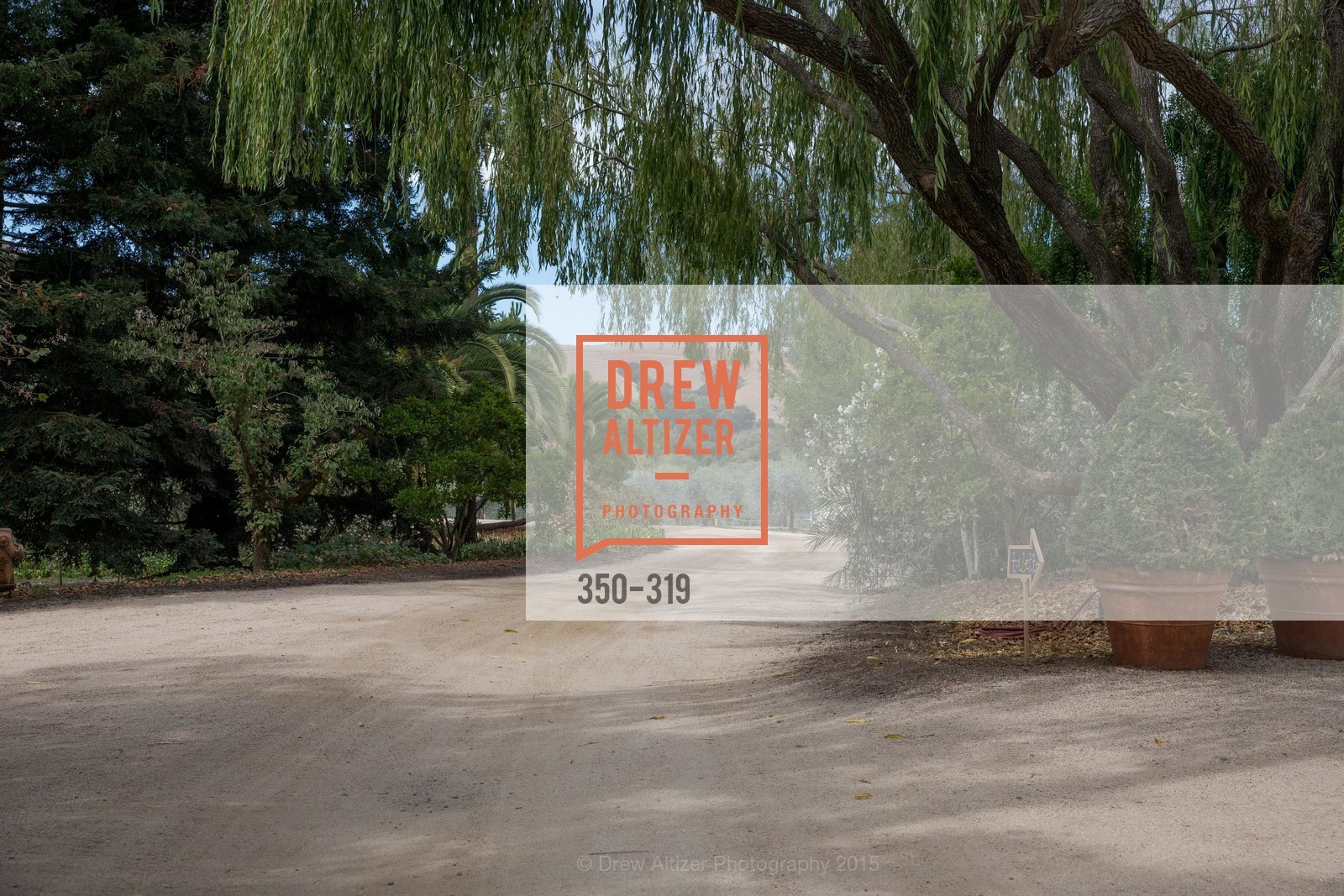 Atmosphere, Fall for Art: ODC at McEvoy Ranch, McEvoy Ranch. 5935 Red Hill Road, September 27th, 2015,Drew Altizer, Drew Altizer Photography, full-service agency, private events, San Francisco photographer, photographer california