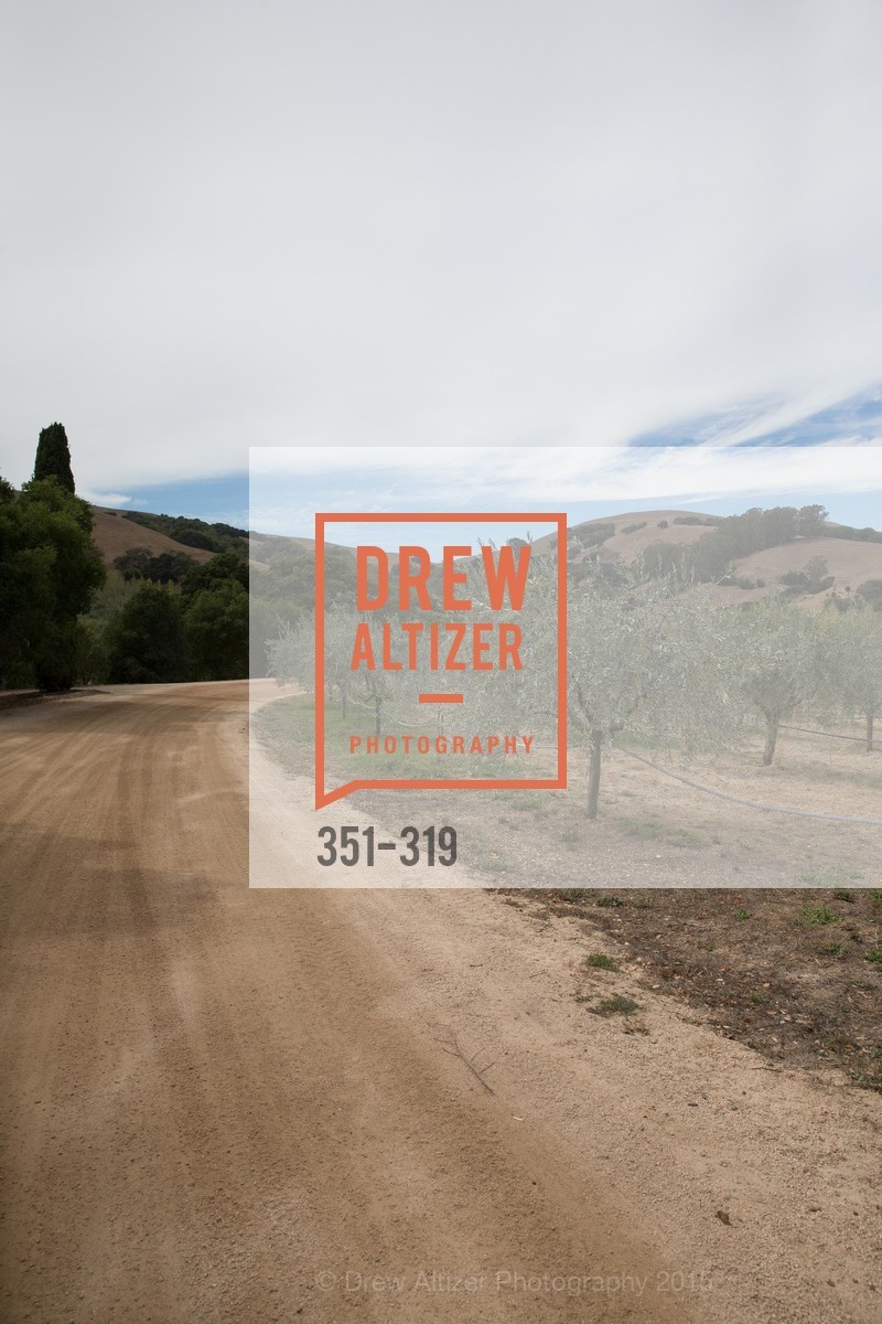 Atmosphere, Fall for Art: ODC at McEvoy Ranch, McEvoy Ranch. 5935 Red Hill Road, September 27th, 2015,Drew Altizer, Drew Altizer Photography, full-service agency, private events, San Francisco photographer, photographer california